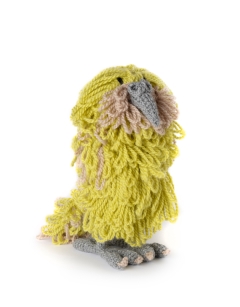 Koa the Kakapo