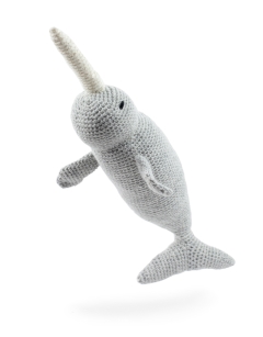 Lewis the Narwhal