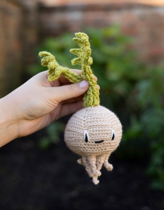 Baby Celeriac Kit