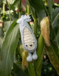 Baby Sweetcorn Kit