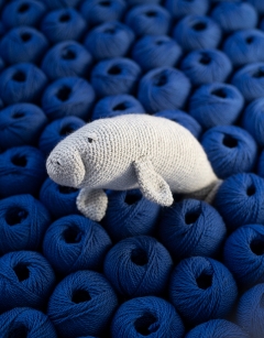 Hortense the Manatee