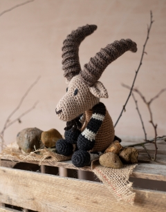 Amit the Nubian Ibex