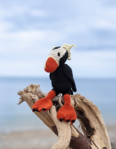 Wes the Tufted Puffin