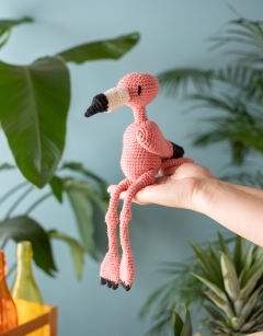 Sophia the Flamingo