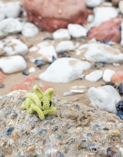 Mini Ace the Sea Slug