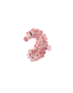 Finlay the Pygmy Seahorse