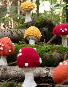 Toadstool Bundle