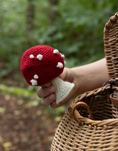 Button Toadstool