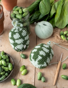 Cucamelon Kit