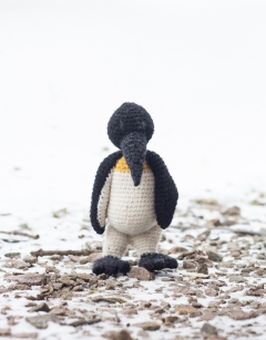 Caesar the Emperor Penguin 