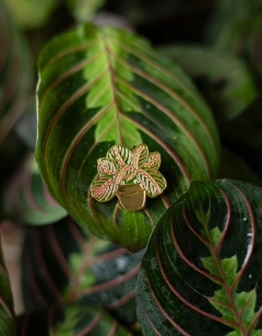 Maranta Fascinator Pin Badge