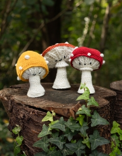 Toadstool Bundle