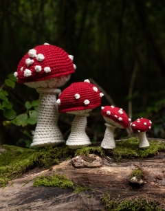 Cap Toadstool