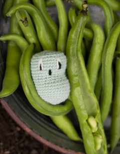 Broad Beans in a Can