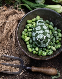 Cucamelon Kit