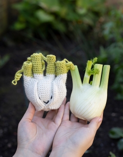 Fennel Kit