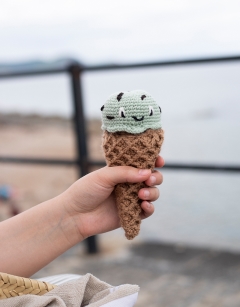 Mint Choc Chip Ice Cream Kit