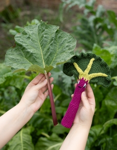 Rhubarb Kit