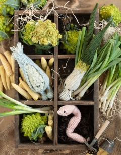 Romanesco Cauliflower Kit