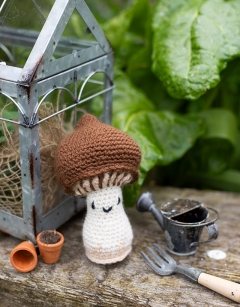 Shiitake Mushroom Kit