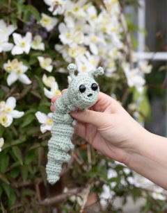 Sylvia the Caterpillar Kit