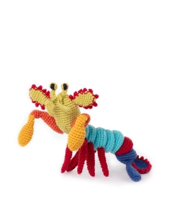 Marsha the Mantis Shrimp