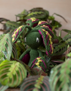 Maranta Fascinator