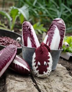 Radicchio Kit