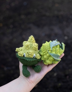 Romanesco Cauliflower Kit