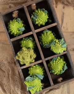 Romanesco Cauliflower Kit