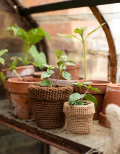Small Terracotta Pot