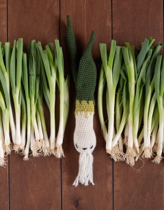 Spring Onion Kit