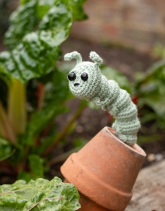 Sylvia the Caterpillar Kit