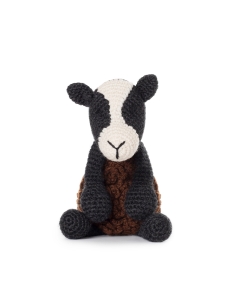 Noah the Zwartbles Sheep