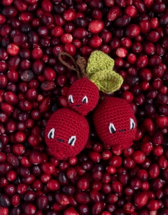 Sprig of Cranberries Kit