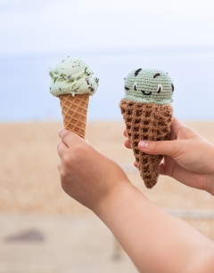 Mint Choc Chip Ice Cream Kit