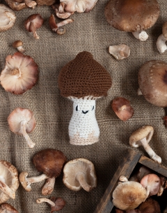 Shiitake Mushroom Kit