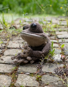 Wood Frog Bag